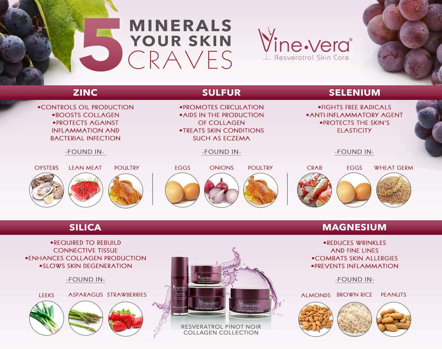 Infographic on the 5 best minerals for the skin