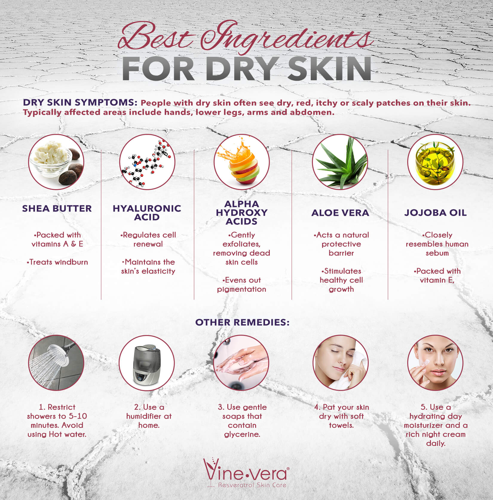 Infographic on best ingredients for dry skin