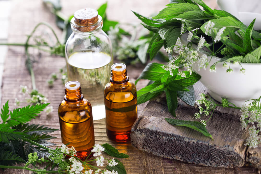 Essential oil bottles surrounded by herbal plants
