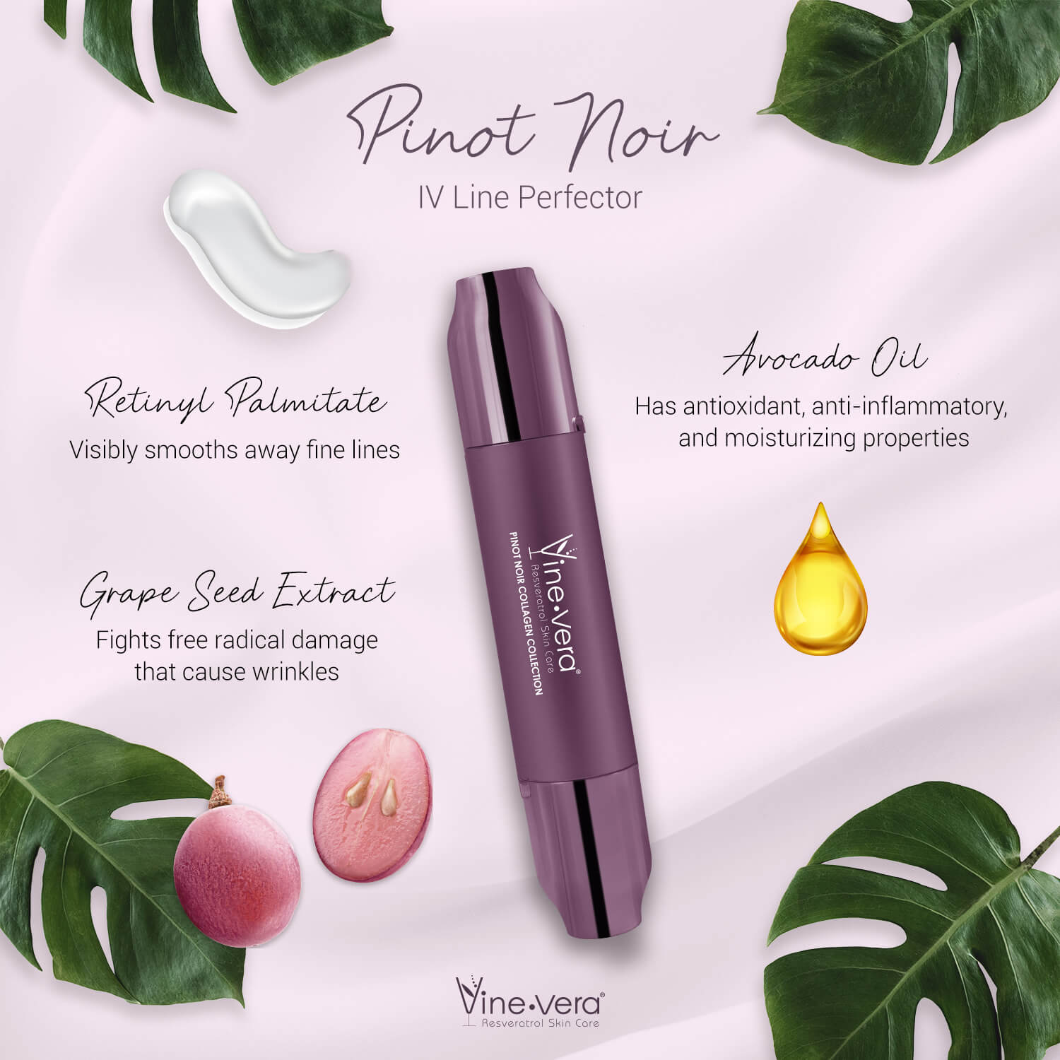 Pinot Noir IV Line Perfector infographic