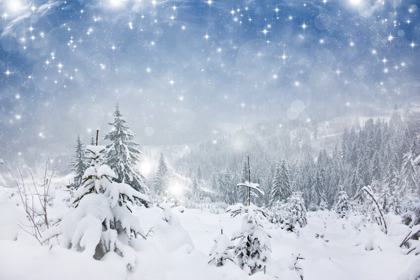 Beautiful serene winter scenery with snow falling thickly on pine trees